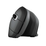 Mouse Ergonómico Vertical Inalámbrico Trust Verro | KM Systems