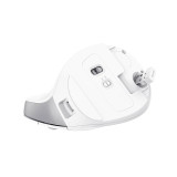 Mouse Ergonómico Inalámbrico Recargable | KM Systems